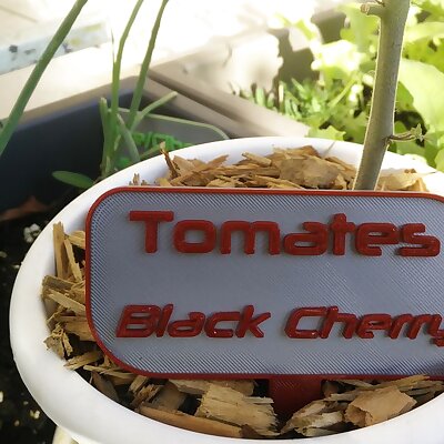 Tomates Black Cherry panneau