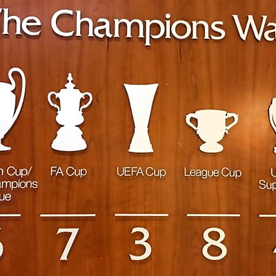 Liverpool FC  DIY Champions Wall
