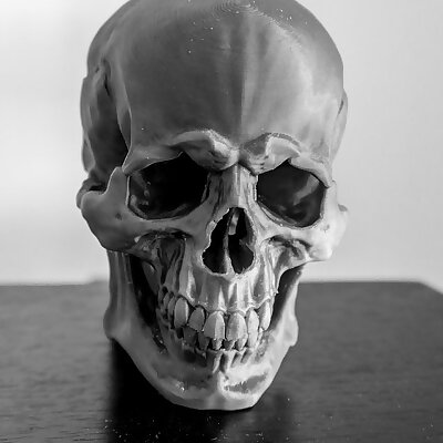 Skull Version 11