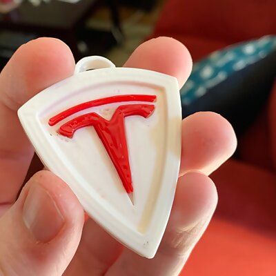 Tesla Keychain