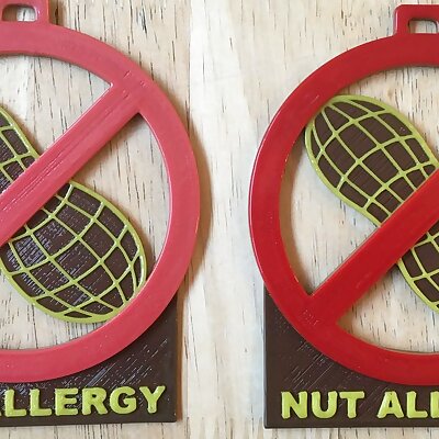 Nut Allergy Pendant
