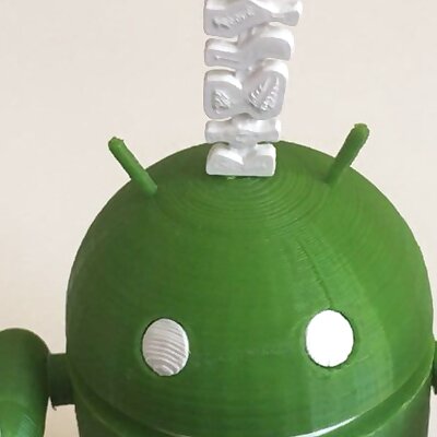 Posable Android Rennes Robot
