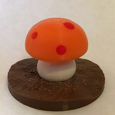 mushroom multimaterial