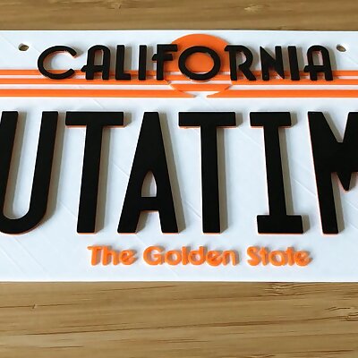 Back to the Future license plate