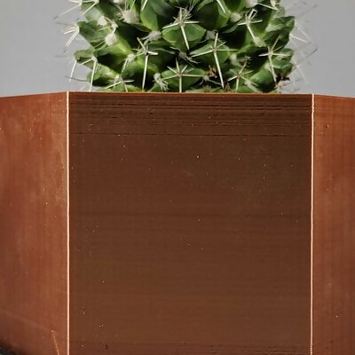 Hexagon Planter With Drainage and Dish