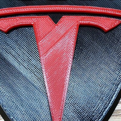 Tesla Logo  MMU2  Multi Color
