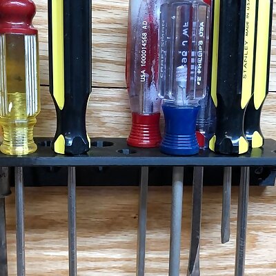 Double Row Screw Driver Mount