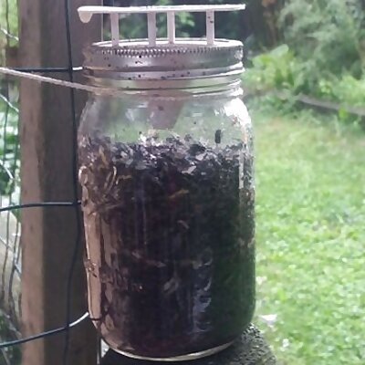 Bottle Fly Trap for Mason Jars