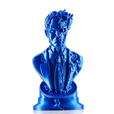 Two Face bust