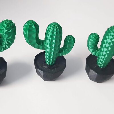 Cactus Plant MMU