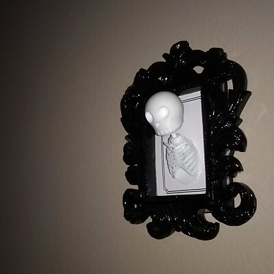 Skeleton privacy door pin and holder