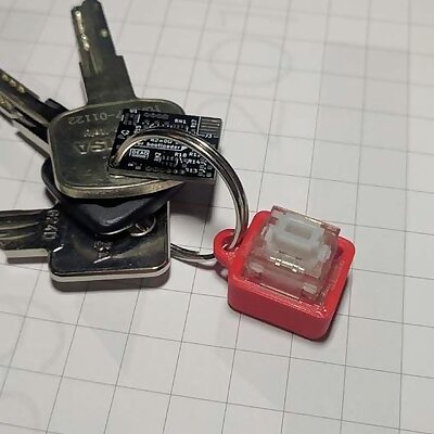 AlpsMatias Switch Keychain